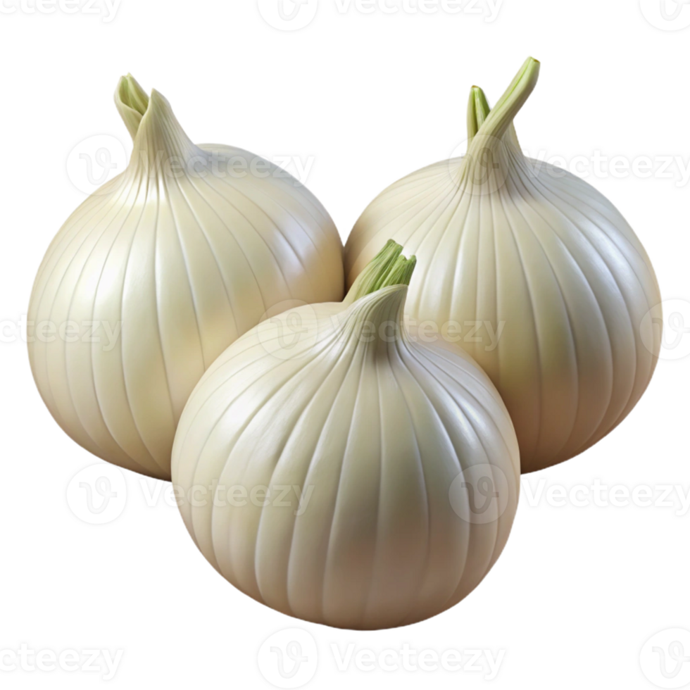 Three White Onions 3D Render png