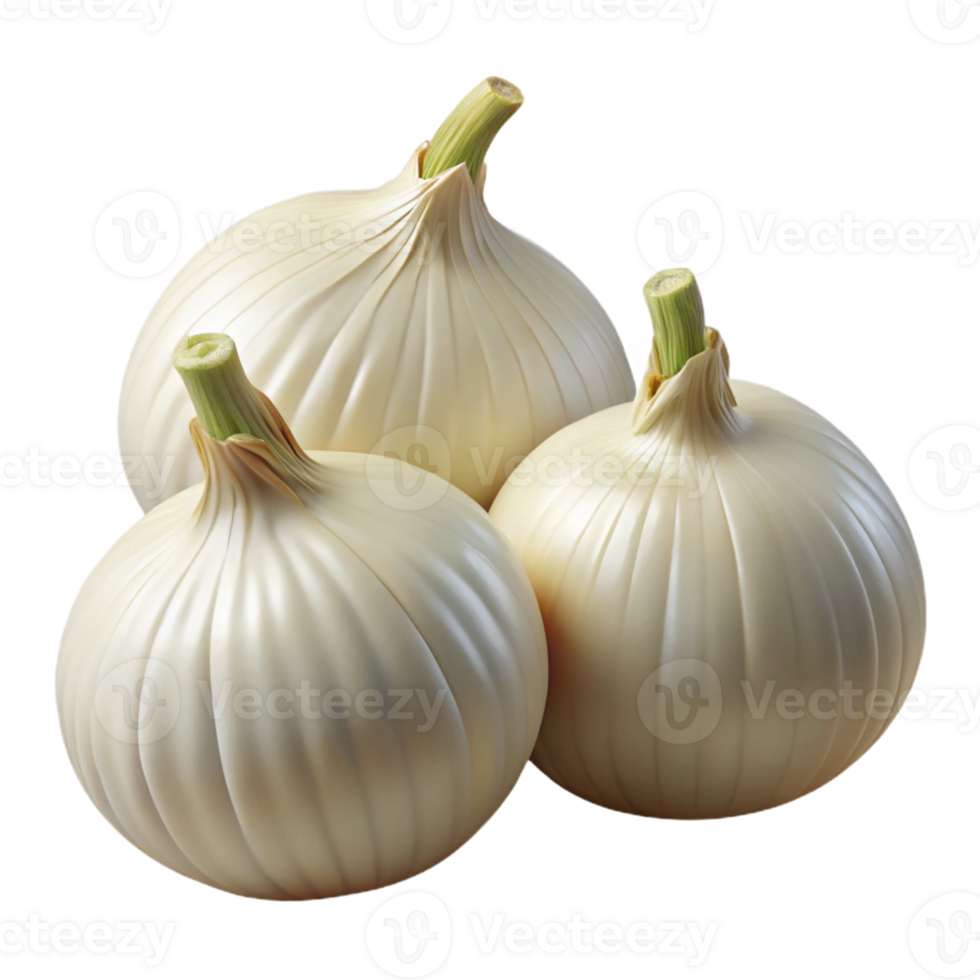 3D Render of Three White Onions png