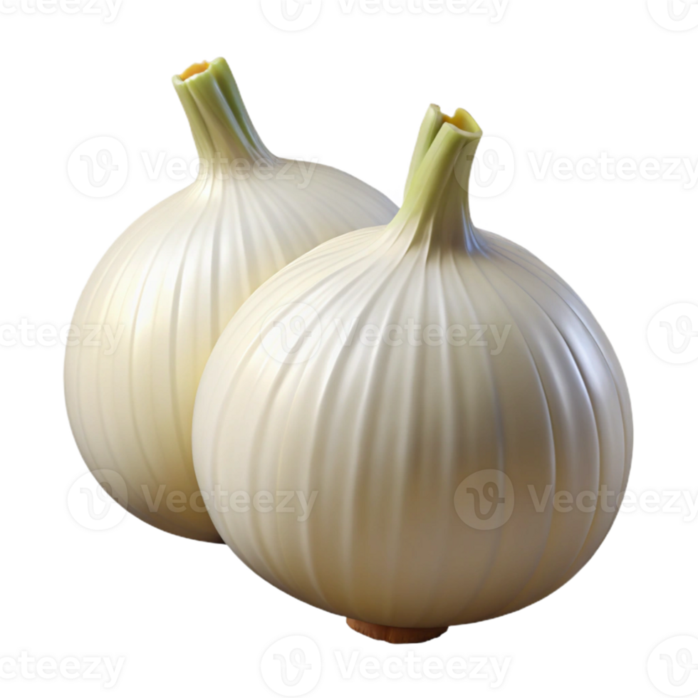 3D Render of Two White Onions png
