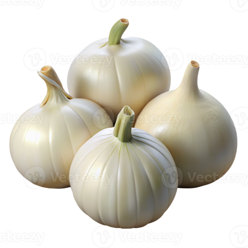 Realistic Image of Four White Onions png