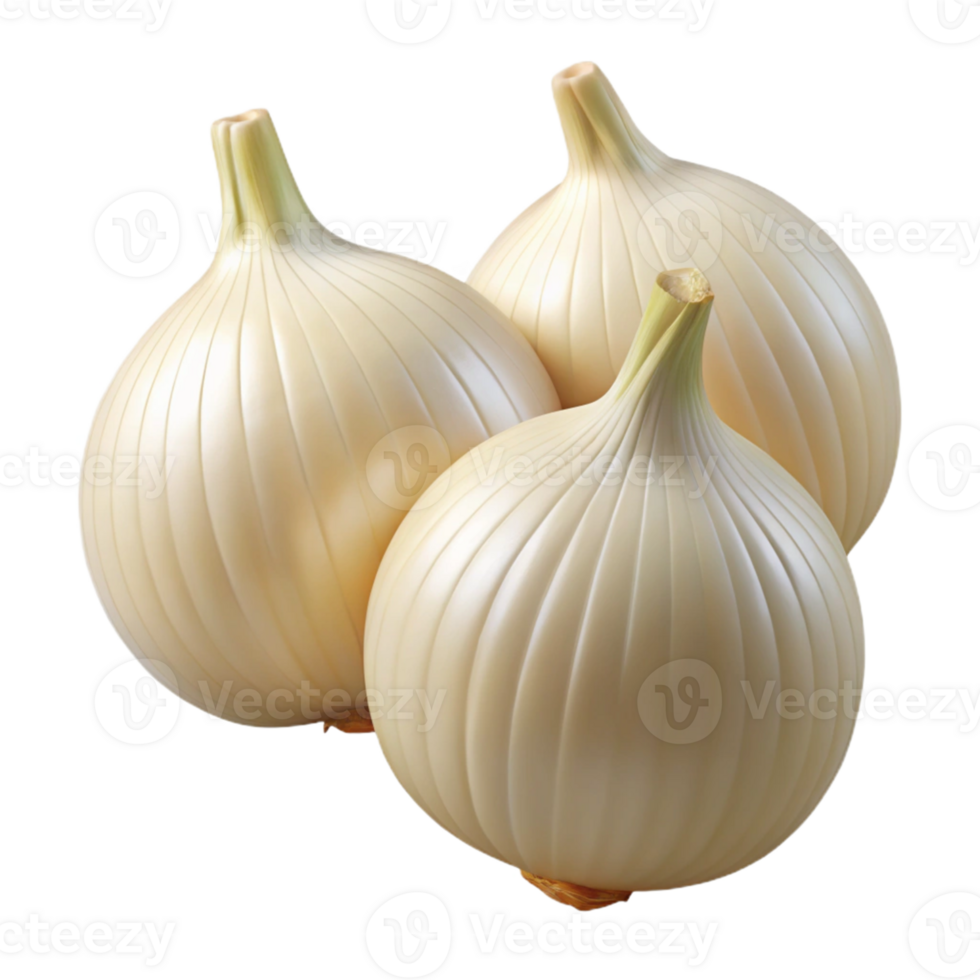3D Render of Three White Onions png