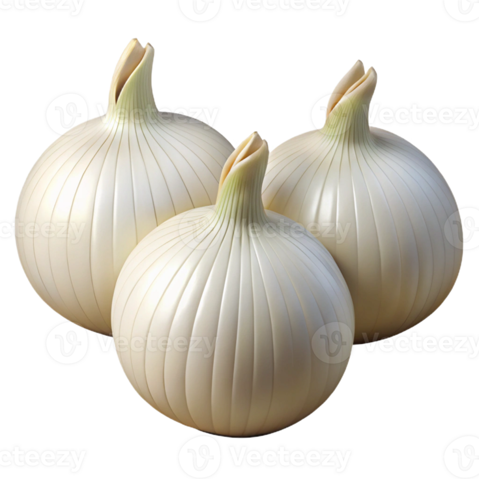 3D Render of Three White Onions png