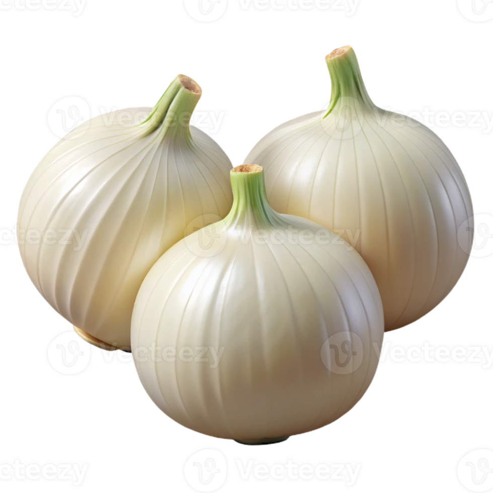 Realistic Image Three White Onions png