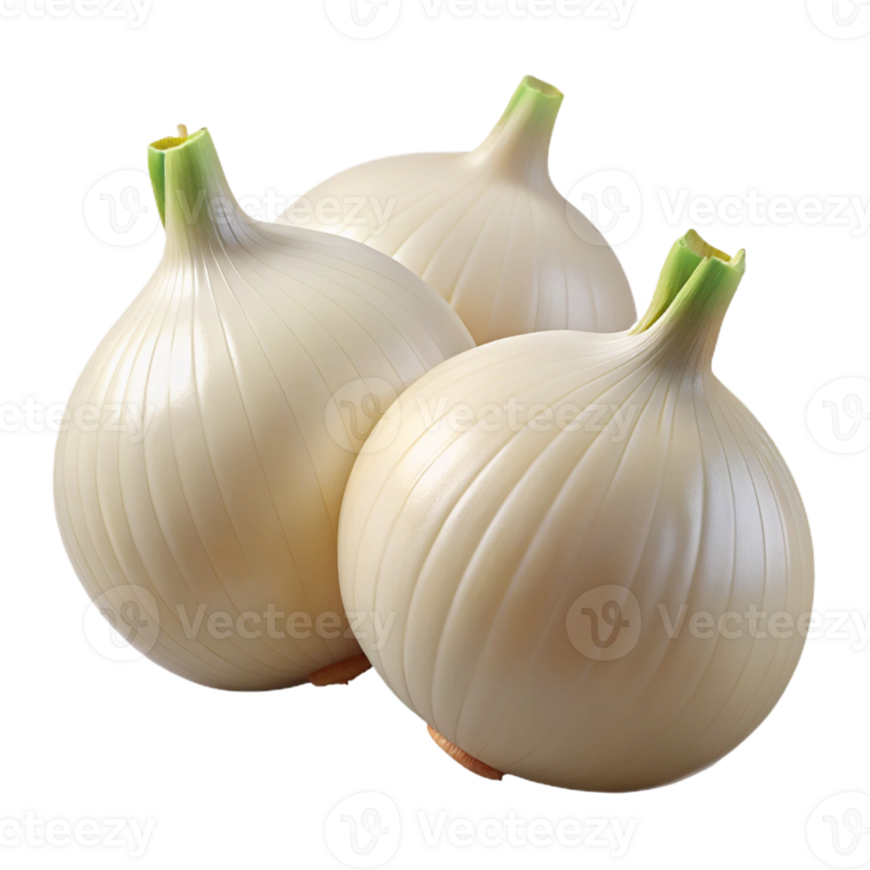 Creamy White Onions 3D Render png