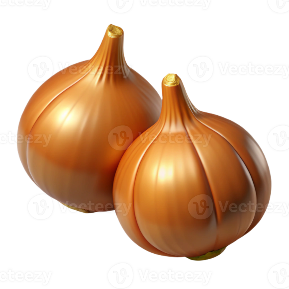 3D Render of Two Onions png