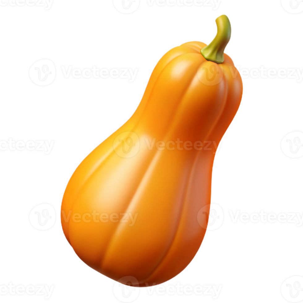 3D Render Butternut Squash png