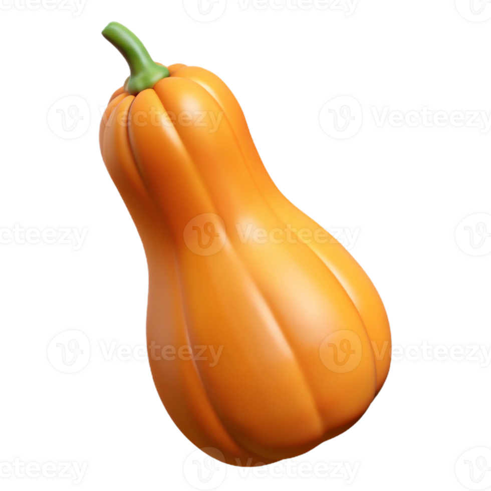 3D Render Butternut Squash Illustration png