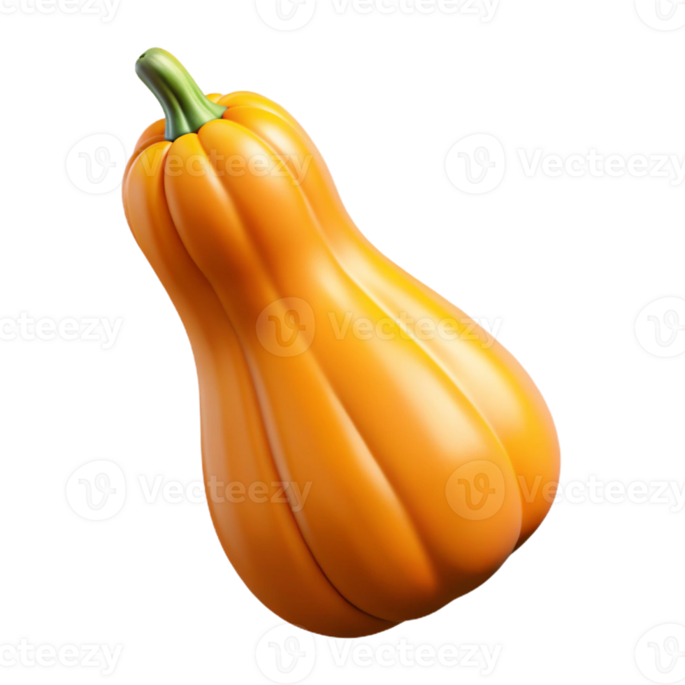3D Render Butternut Squash Illustration png