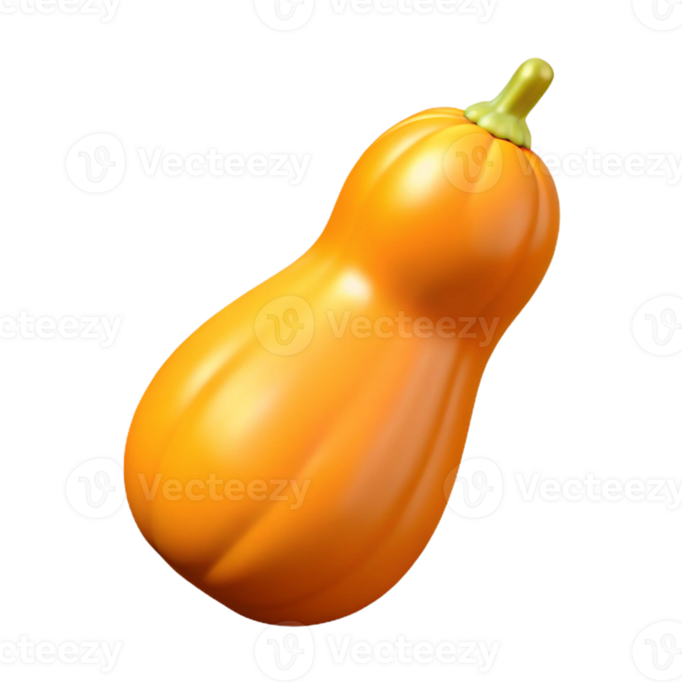 3D Render of an Orange Butternut Squash png
