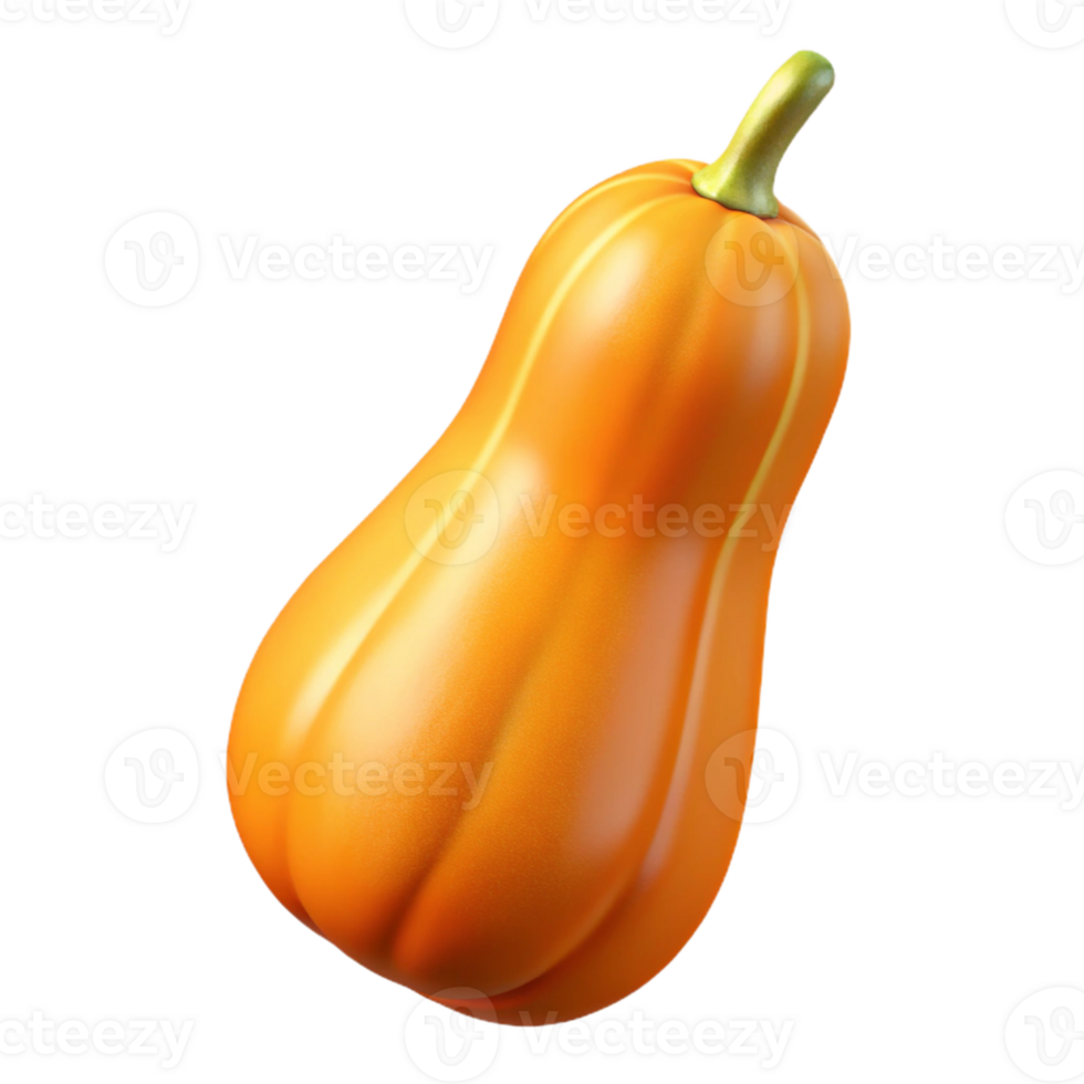 3D Render Butternut Squash png