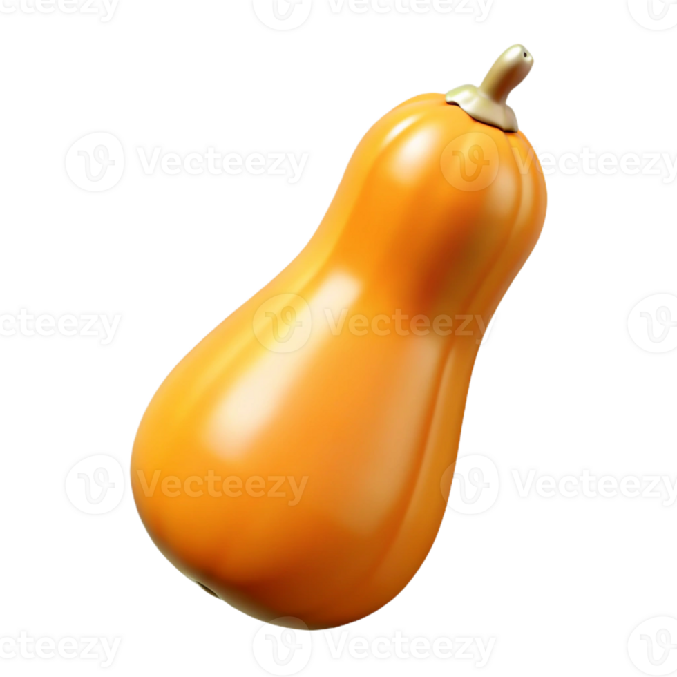 3D Render Butternut Squash png
