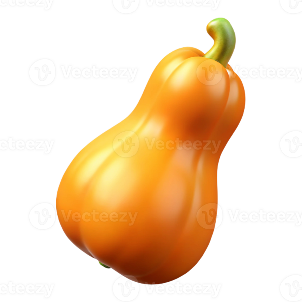 3D Render of Orange Butternut Squash png