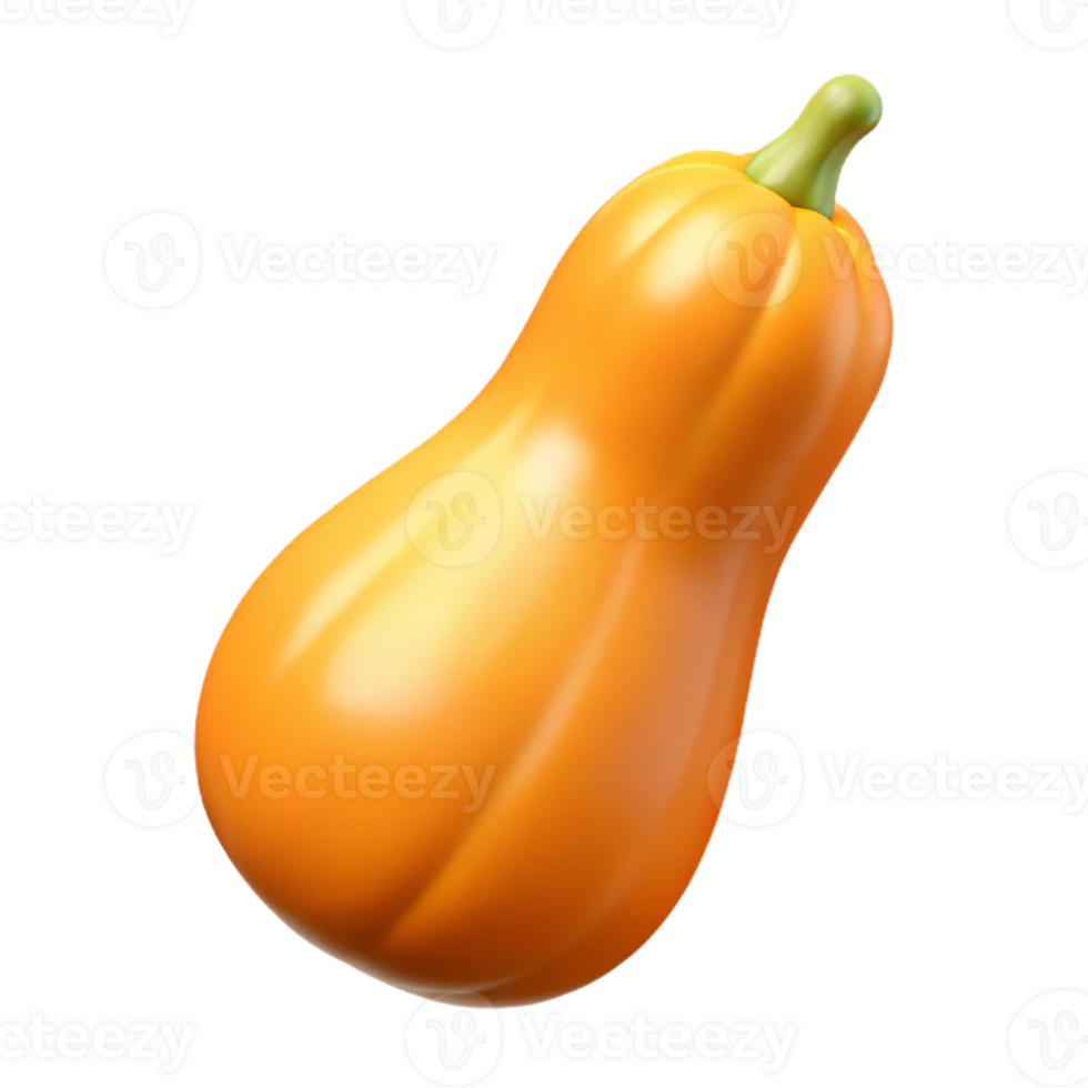 3D Render of Orange Butternut Squash png