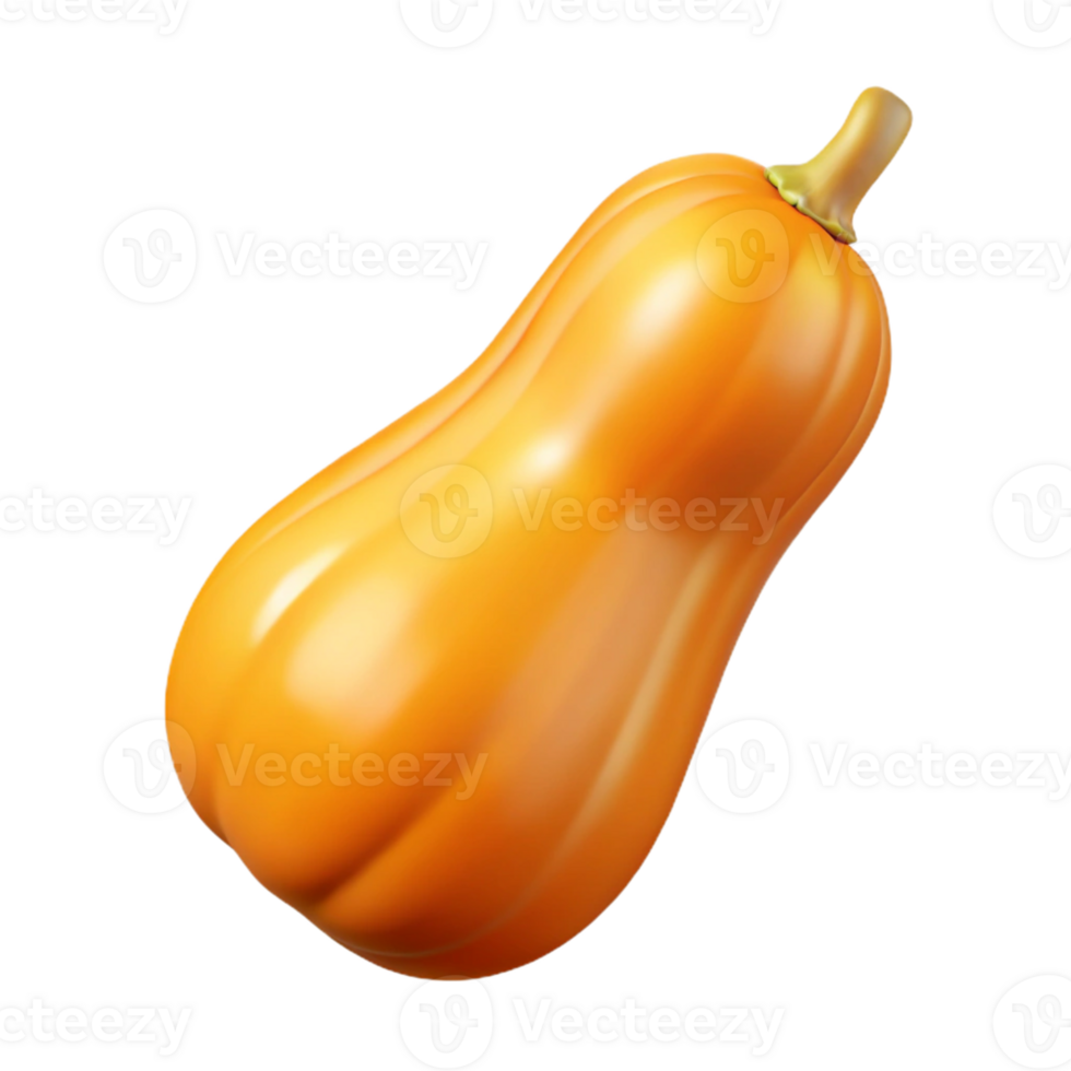 3D Render Butternut Squash png