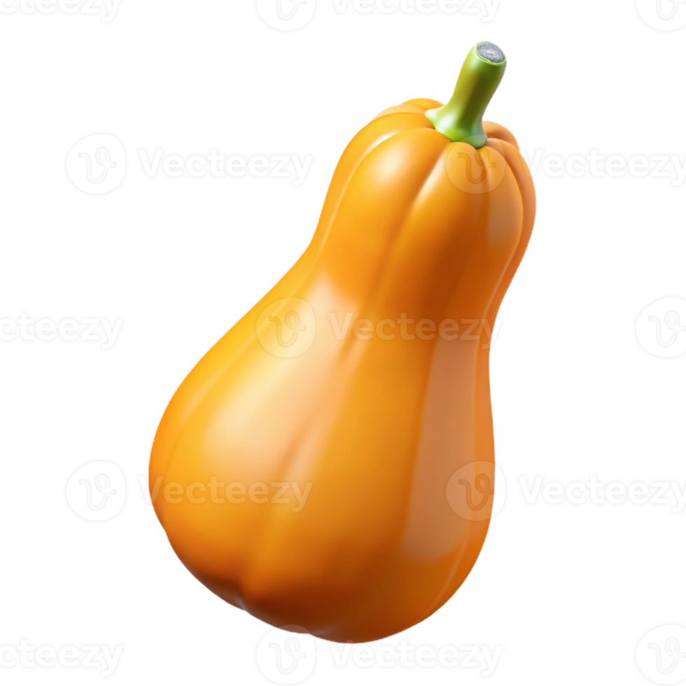 3D Render Butternut Squash png