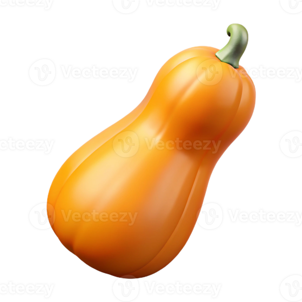 3D Render of Butternut Squash png