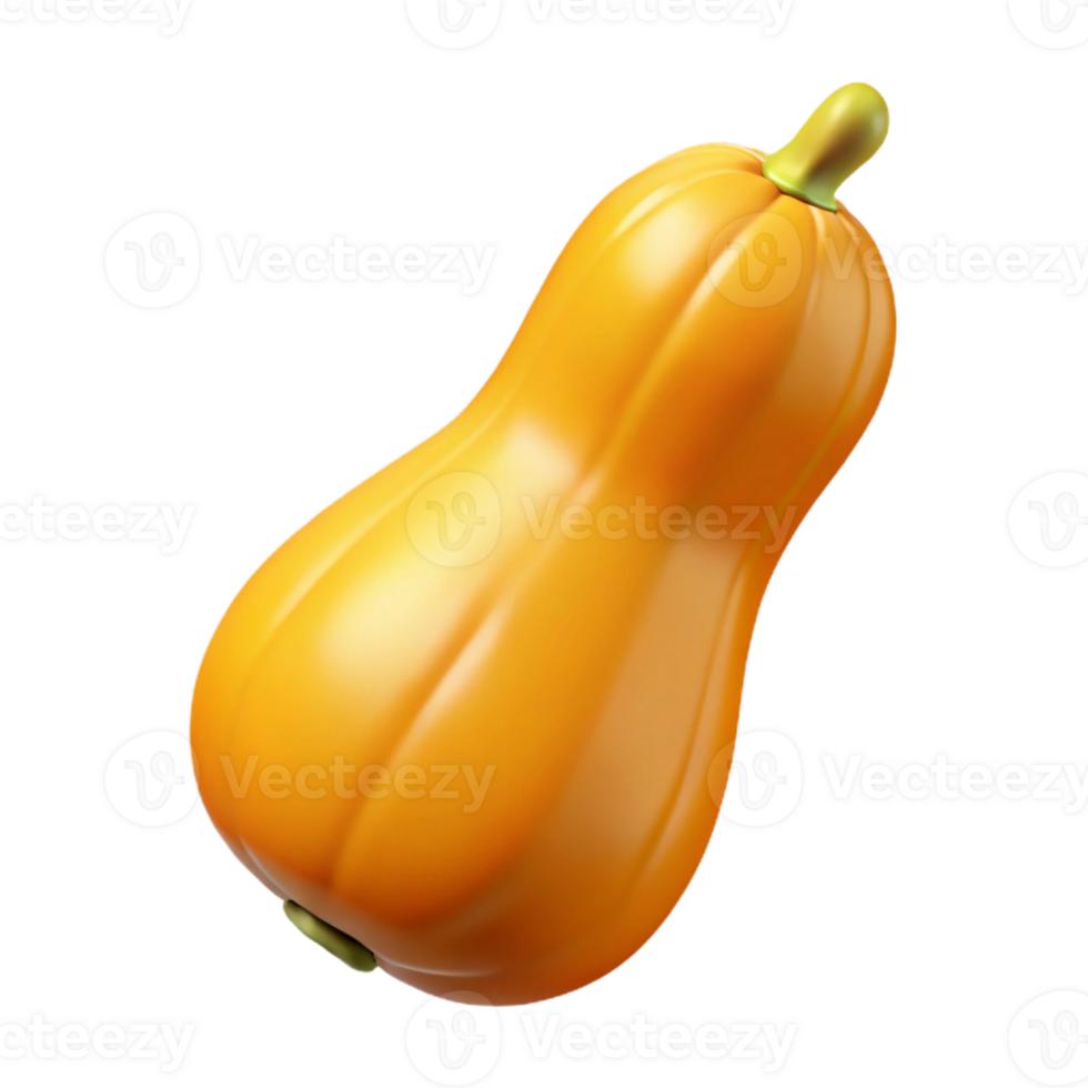 3D Render of Butternut Squash png
