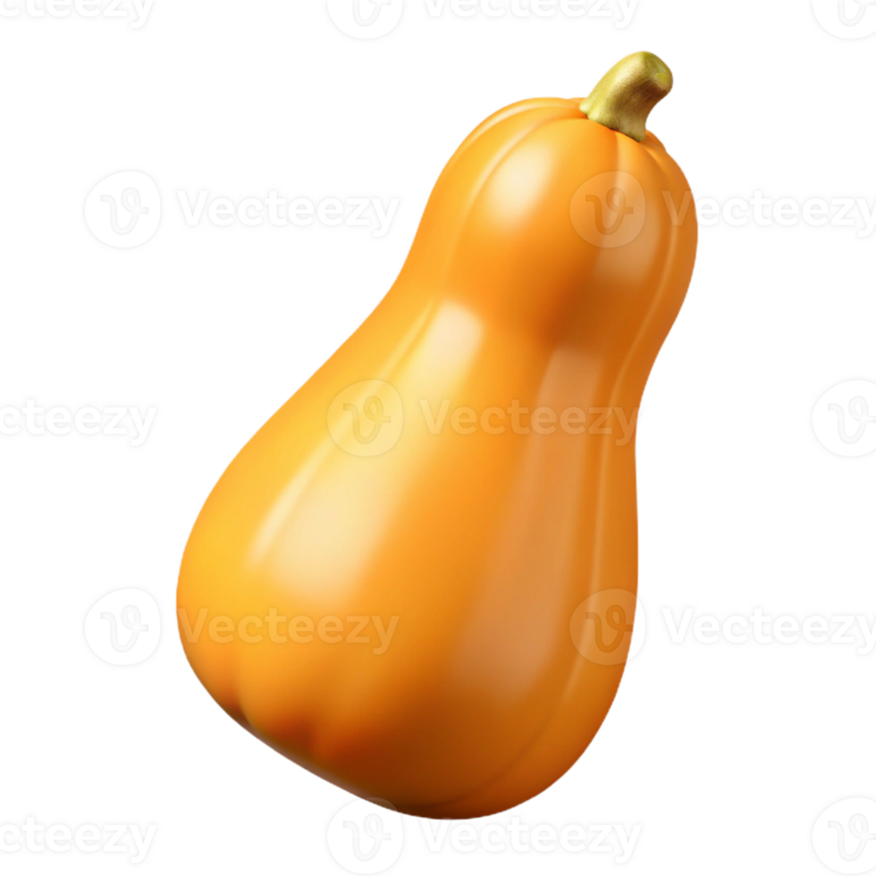 3D Render Butternut Squash Image png