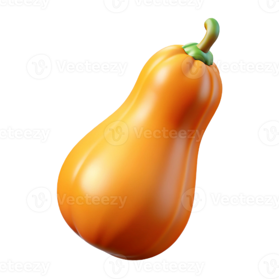 3D Render Butternut Squash Illustration png
