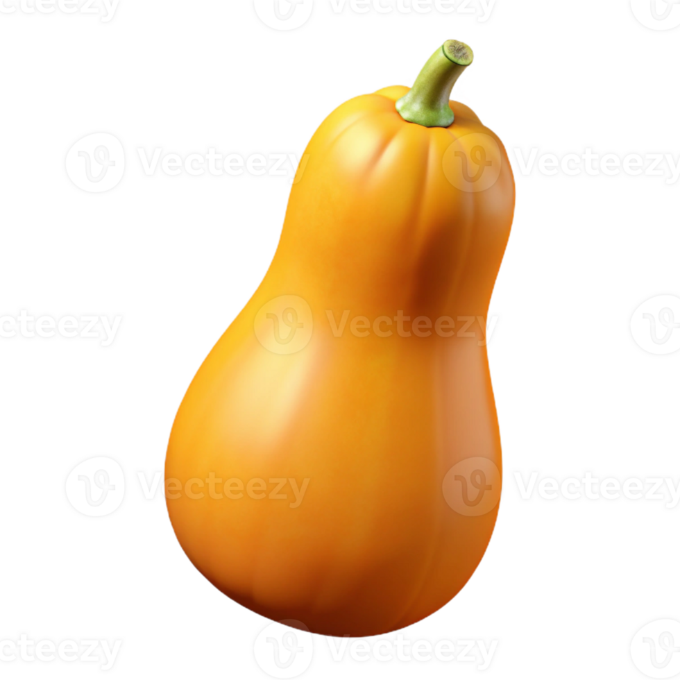 Butternut Squash 3D Render png