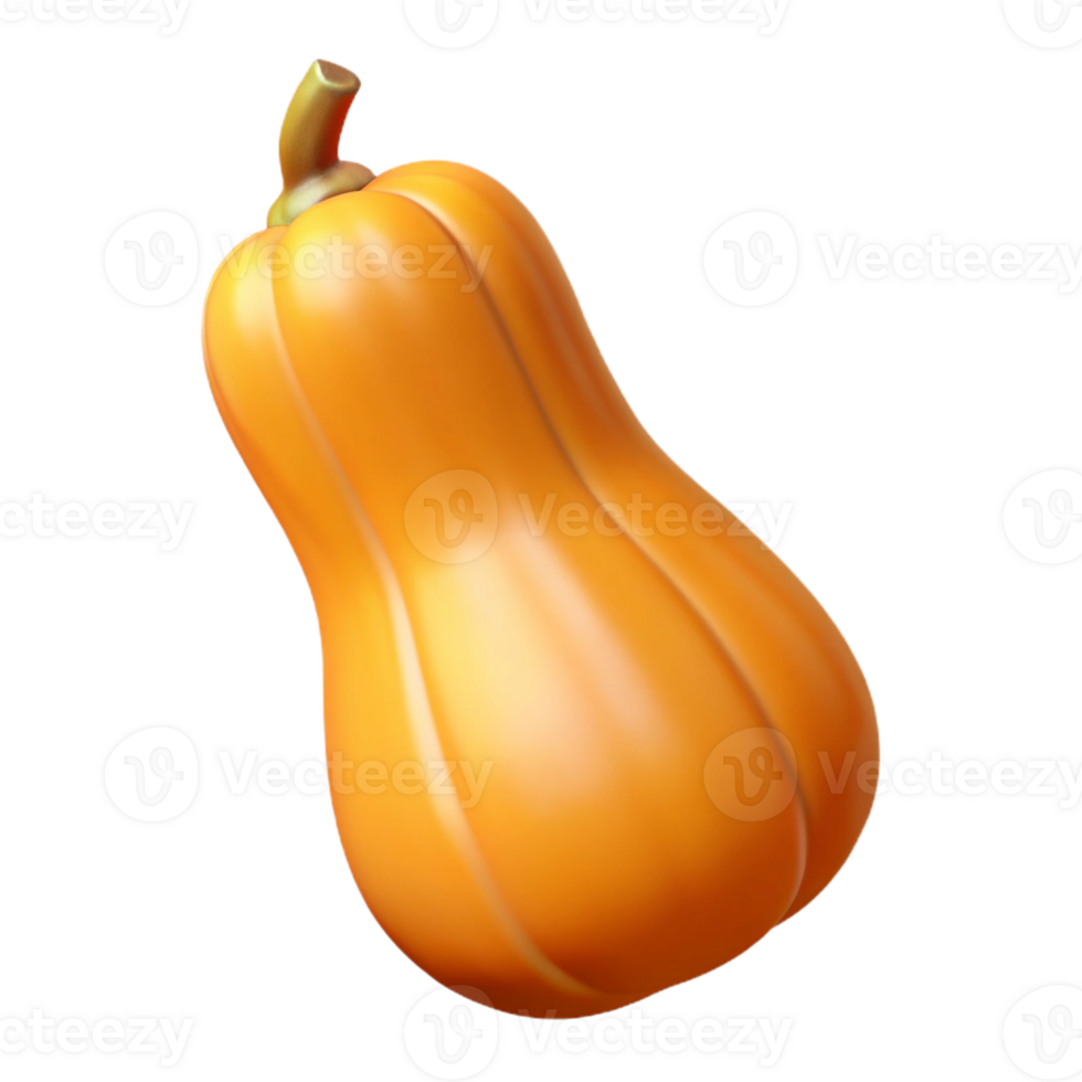 3D Render Butternut Squash png