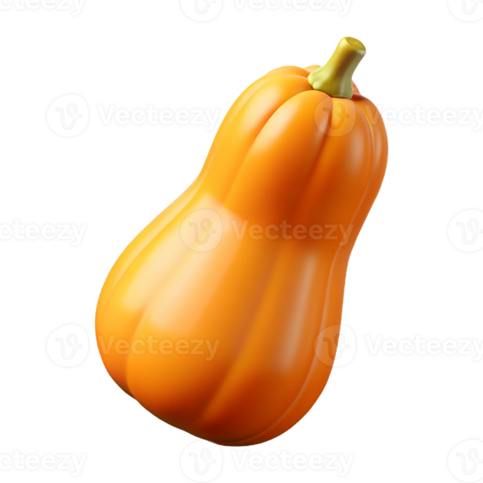 3D Render of Butternut Squash png