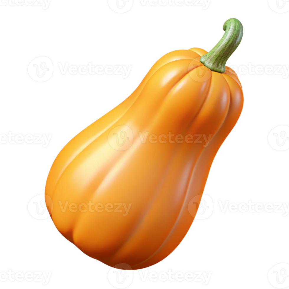 3D Render of an Orange Butternut Squash png