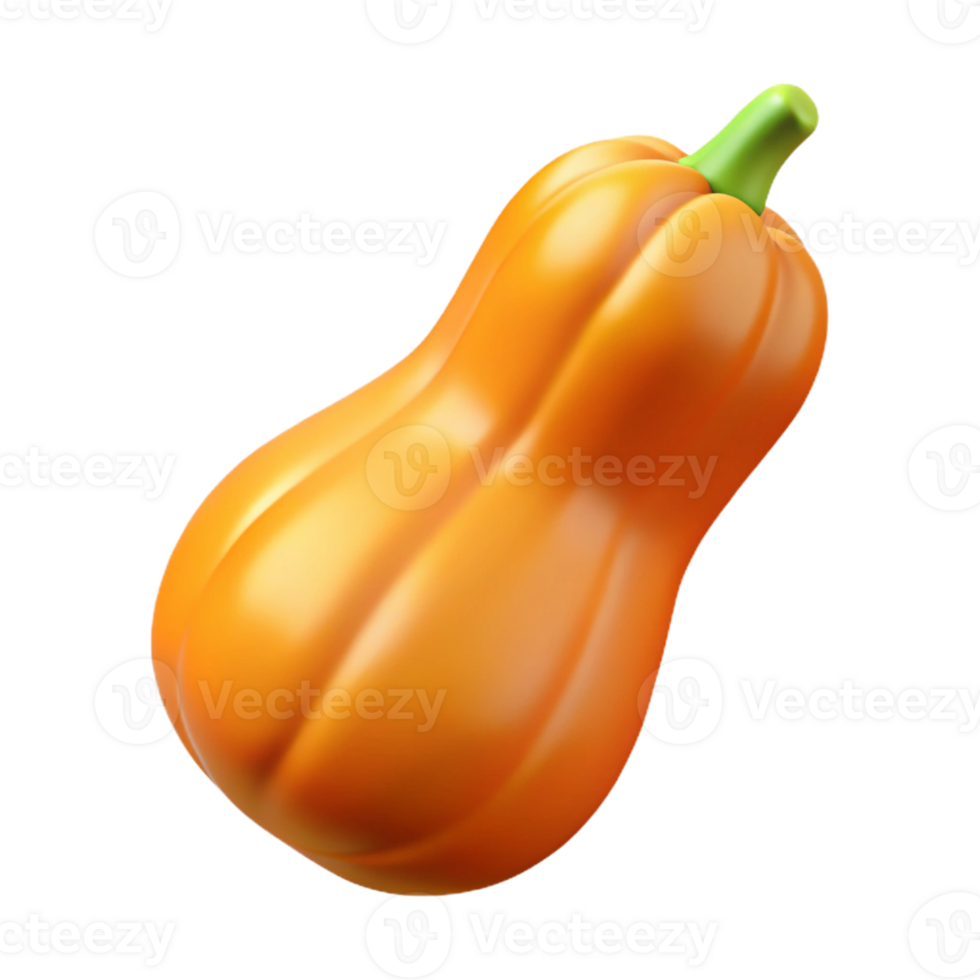 3D Render Butternut Squash Illustration png