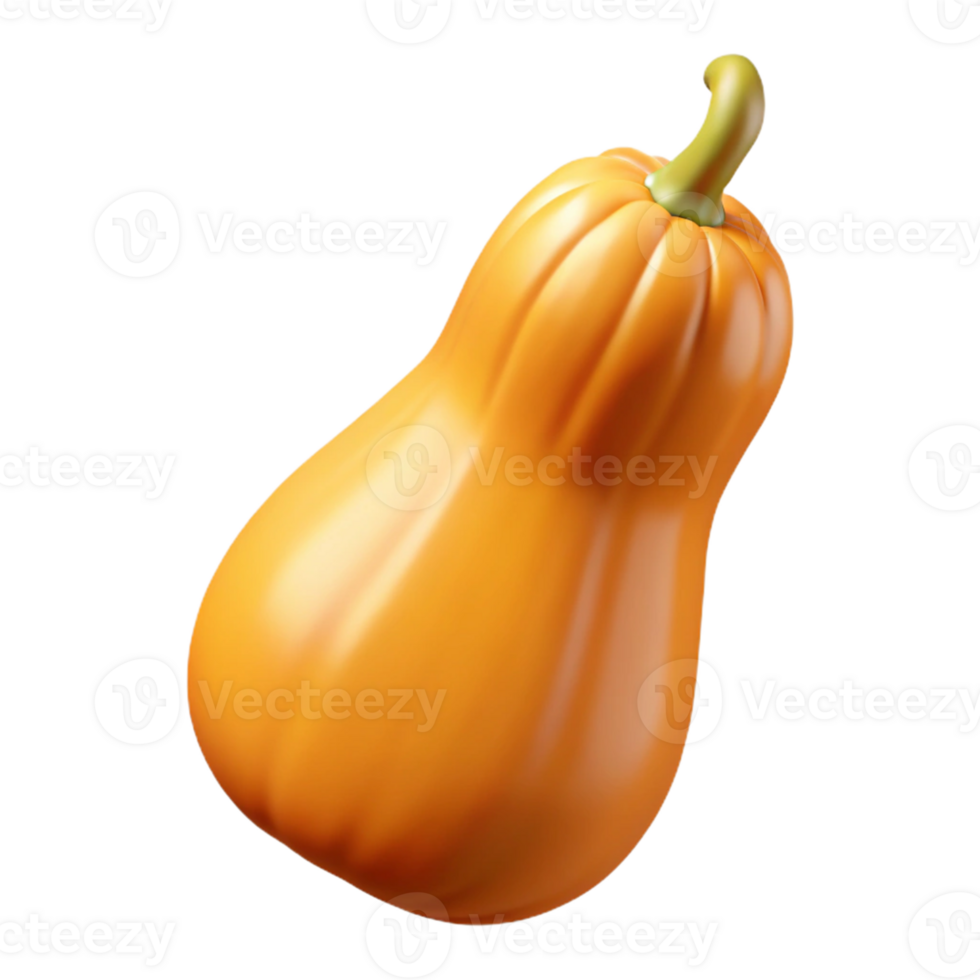 3D Render Butternut Squash Image png