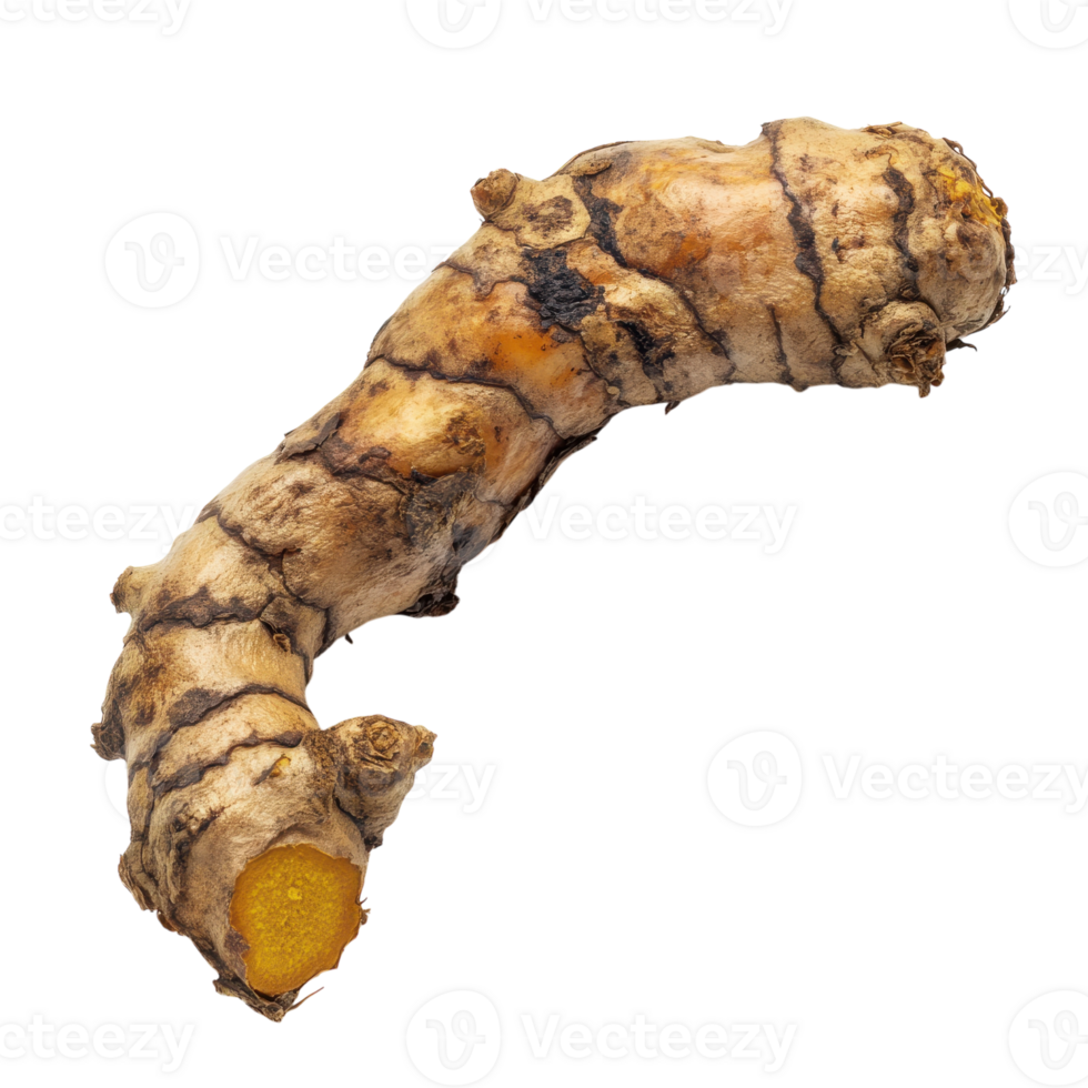 Fresh Turmeric Root Isolated on White Background for Culinary and Health Uses on Transparent Background png