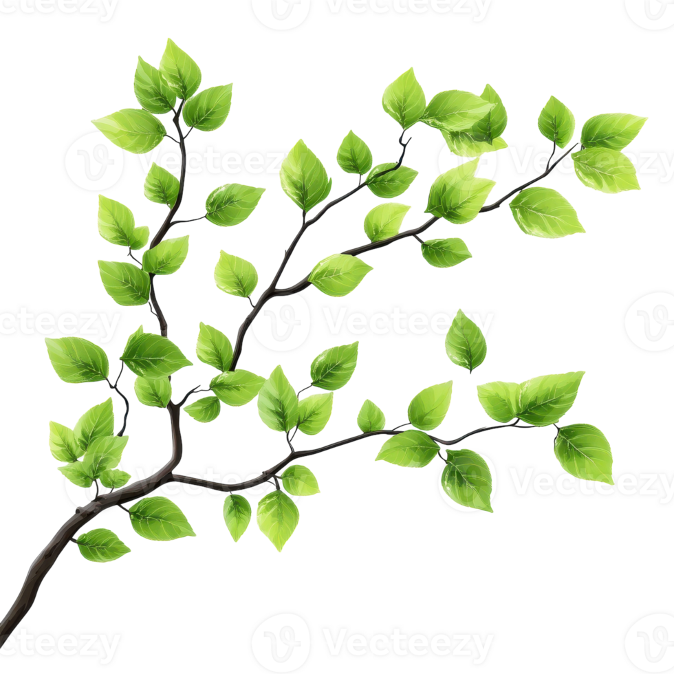 Tree Branch with Green Leaves Ideal for Nature-themed Projects on Transparent Background png