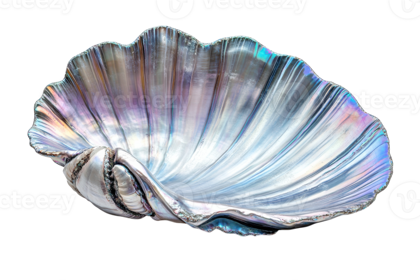 Decorative shell bowl featuring iridescent colors perfect for home decor or special occasions png