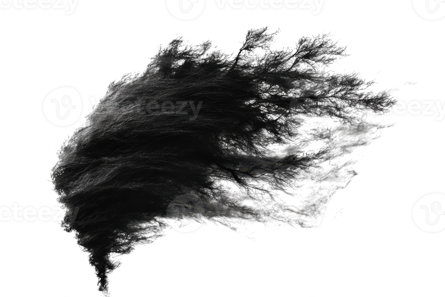 Abstract representation of flowing black hair against a white background highlighting movement and texture png