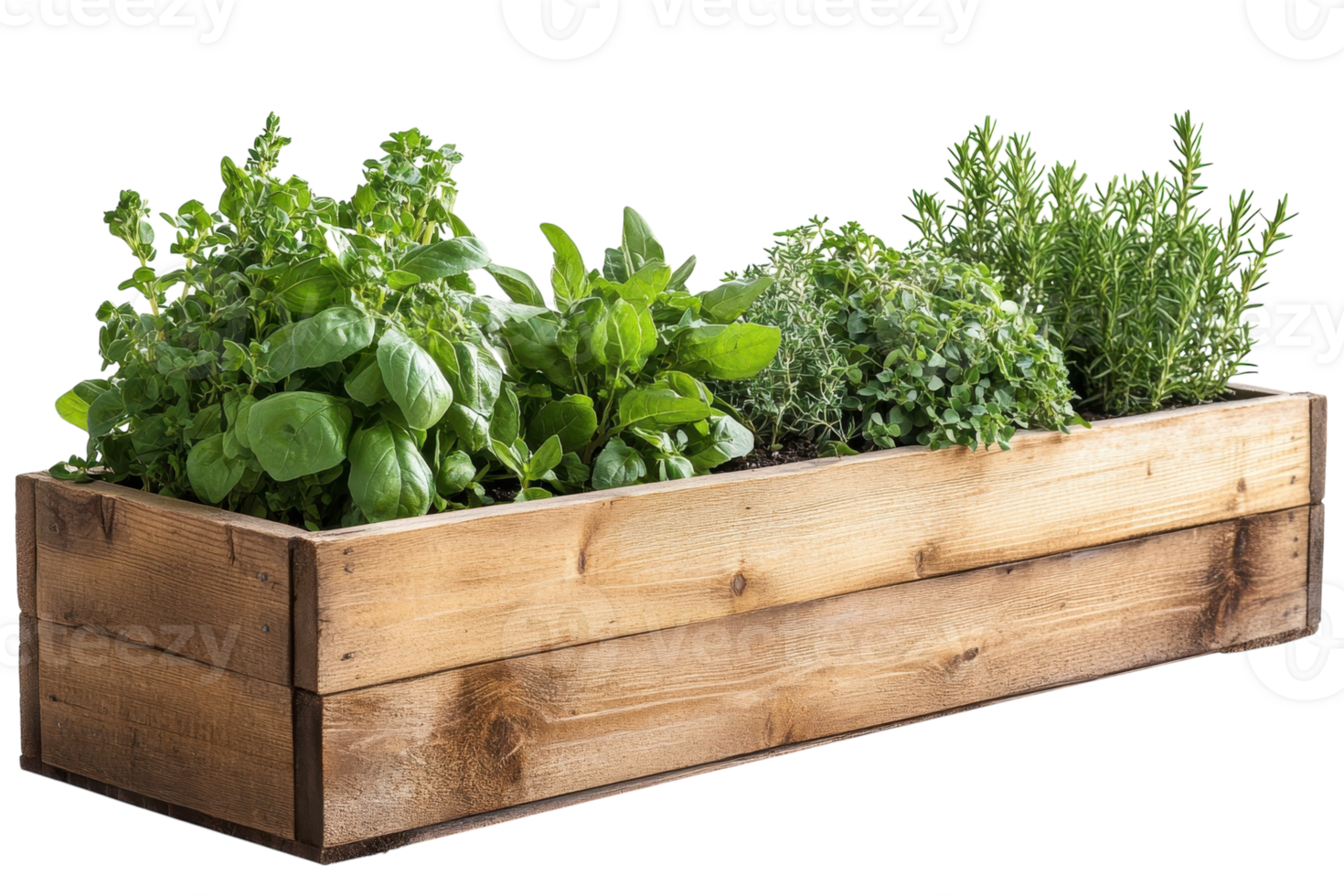Fresh herbs growing in a wooden planter box in a home garden setting during daytime png