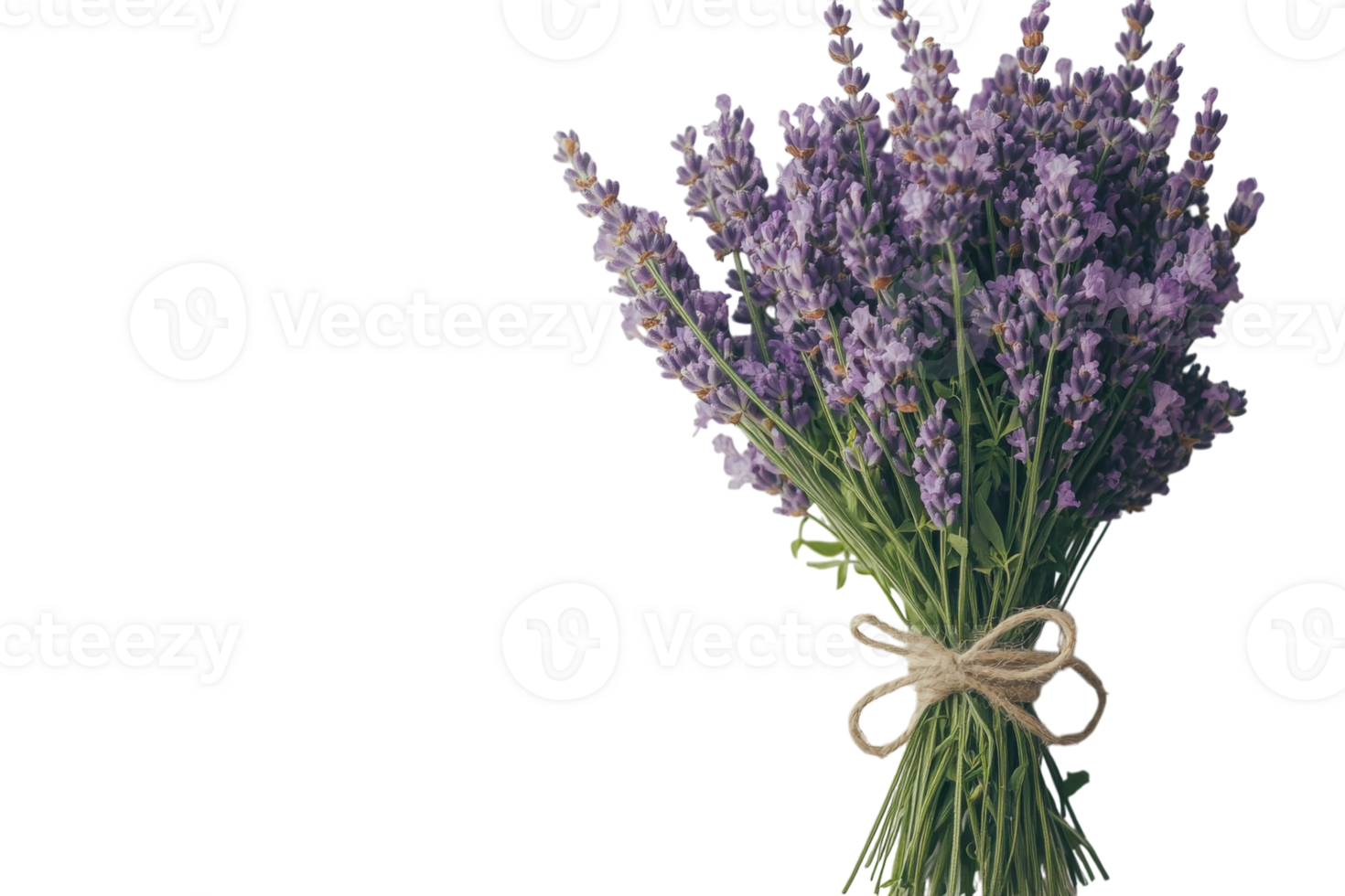Lavender bouquet tied with twine showcases vibrant colors and fresh appeal in a simple, elegant arrangement png