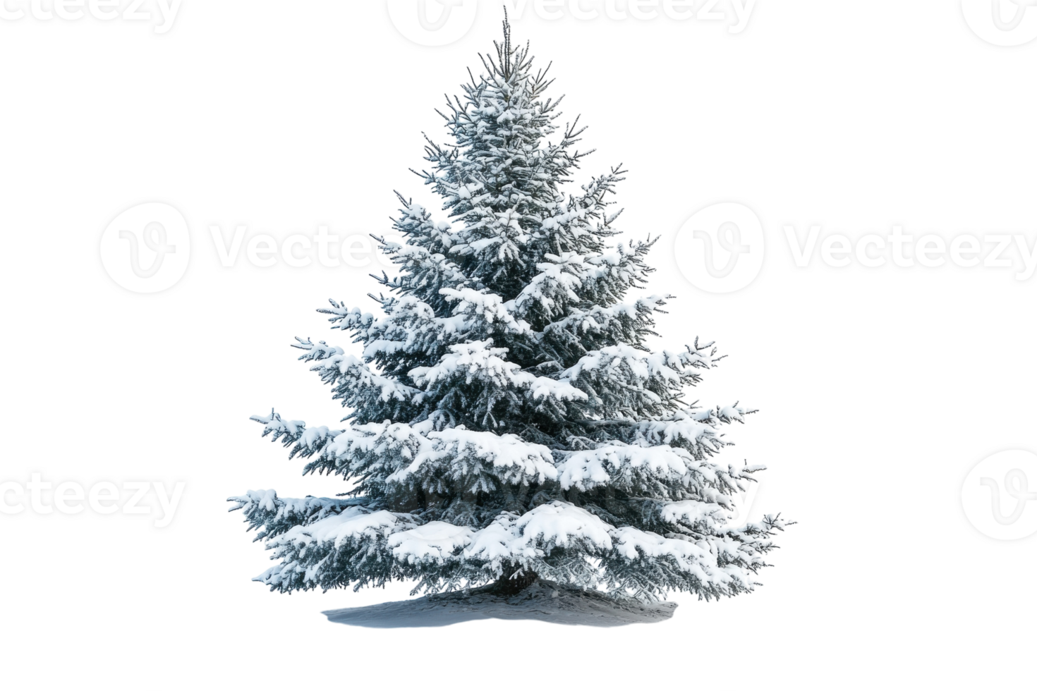 Snow-covered evergreen tree standing alone in a winter landscape with a white background png