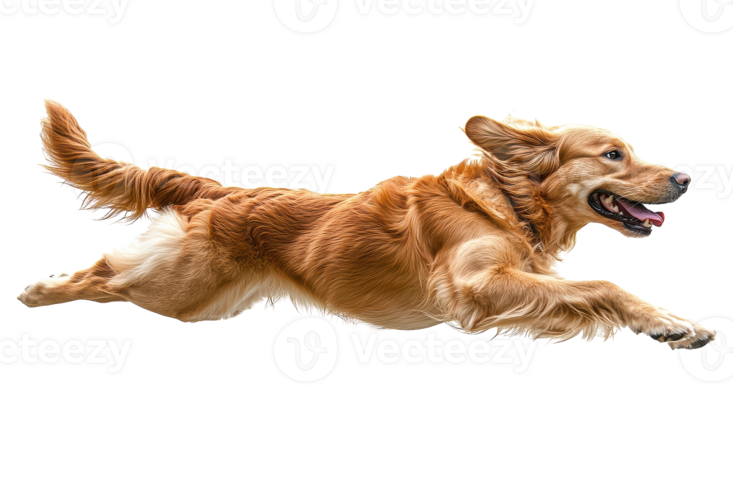 Golden retriever happily leaps through the air in a playful display of energy and joy png