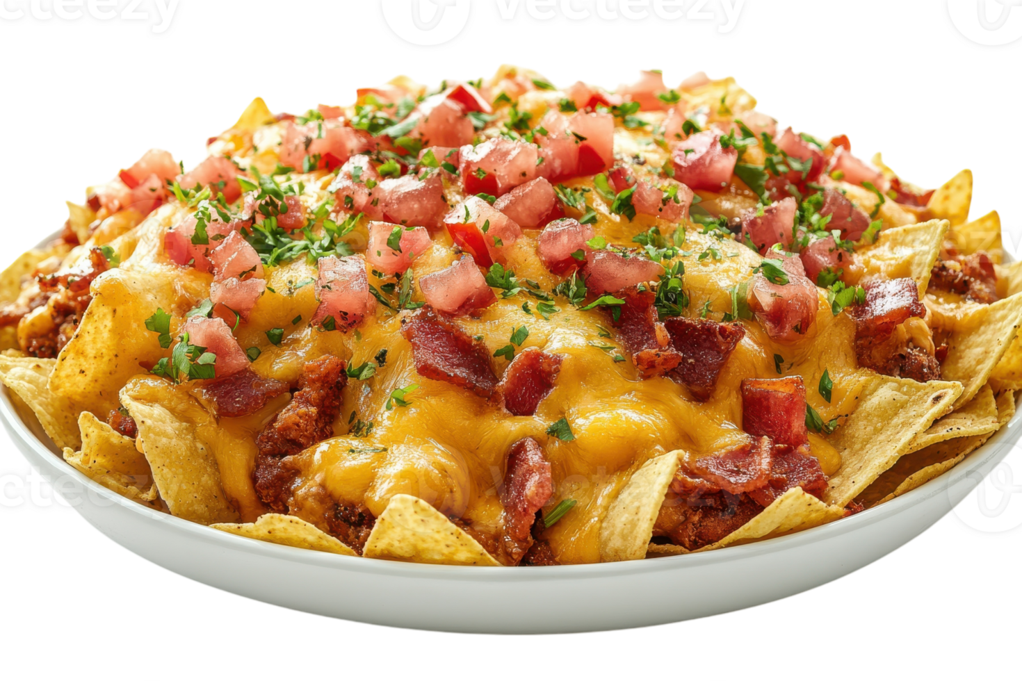 Deliciously cheesy nachos topped with fresh tomatoes and herbs served in a white plate png