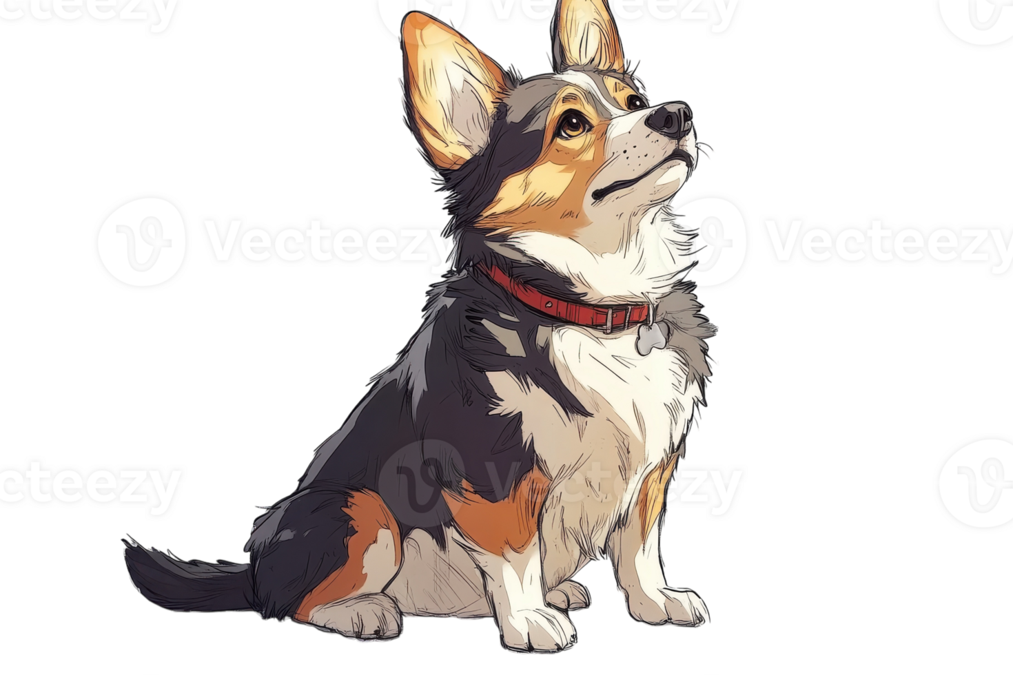 Corgi sitting and looking up with a curious expression in a bright and cheerful setting png