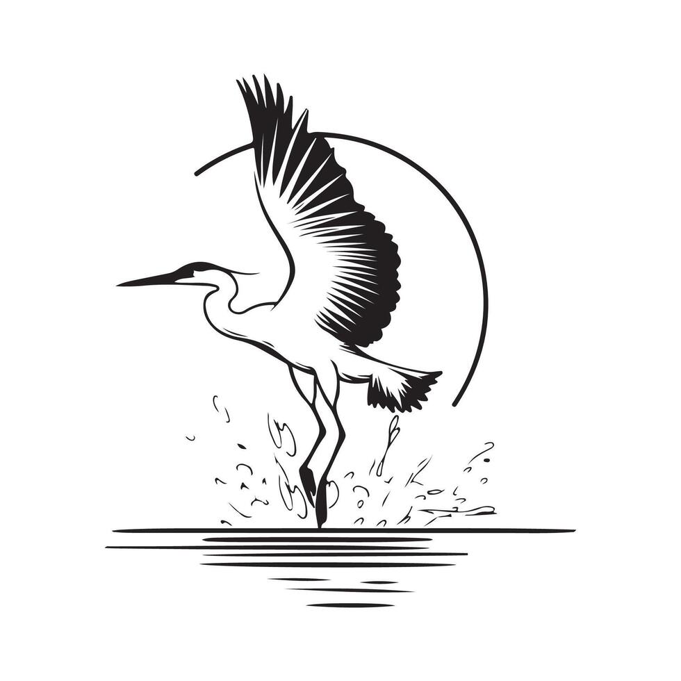 Great Heron Bird Splashing Water Image. Heron Birds flying over the water surface image. vector