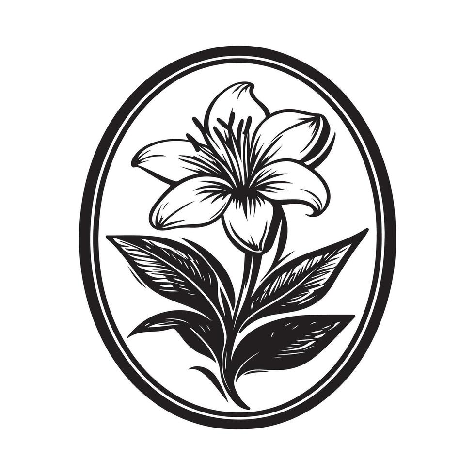 Black and white Lily flower image . Lily flower with circular design image isolated on white background. vector