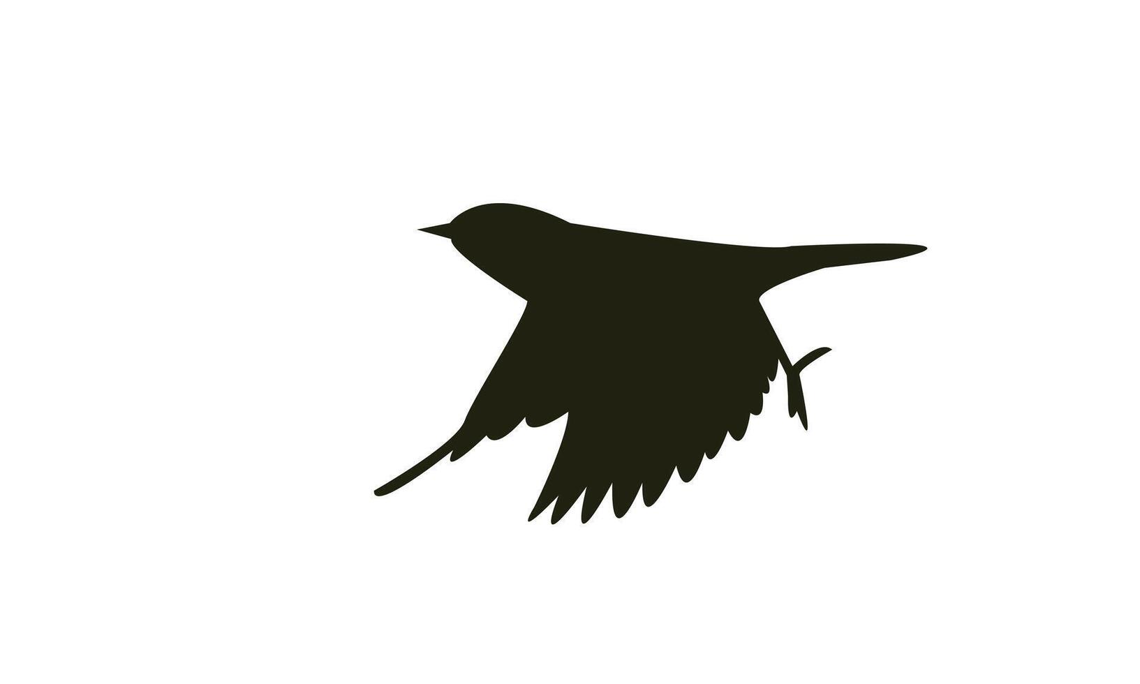 Flying White Eye Bird Silhouette Design vector