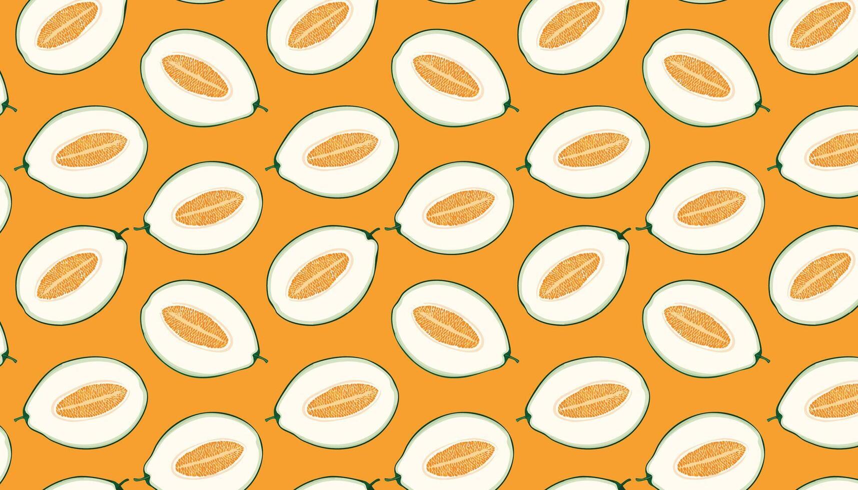 Honeydew melon pattern background illustration vector
