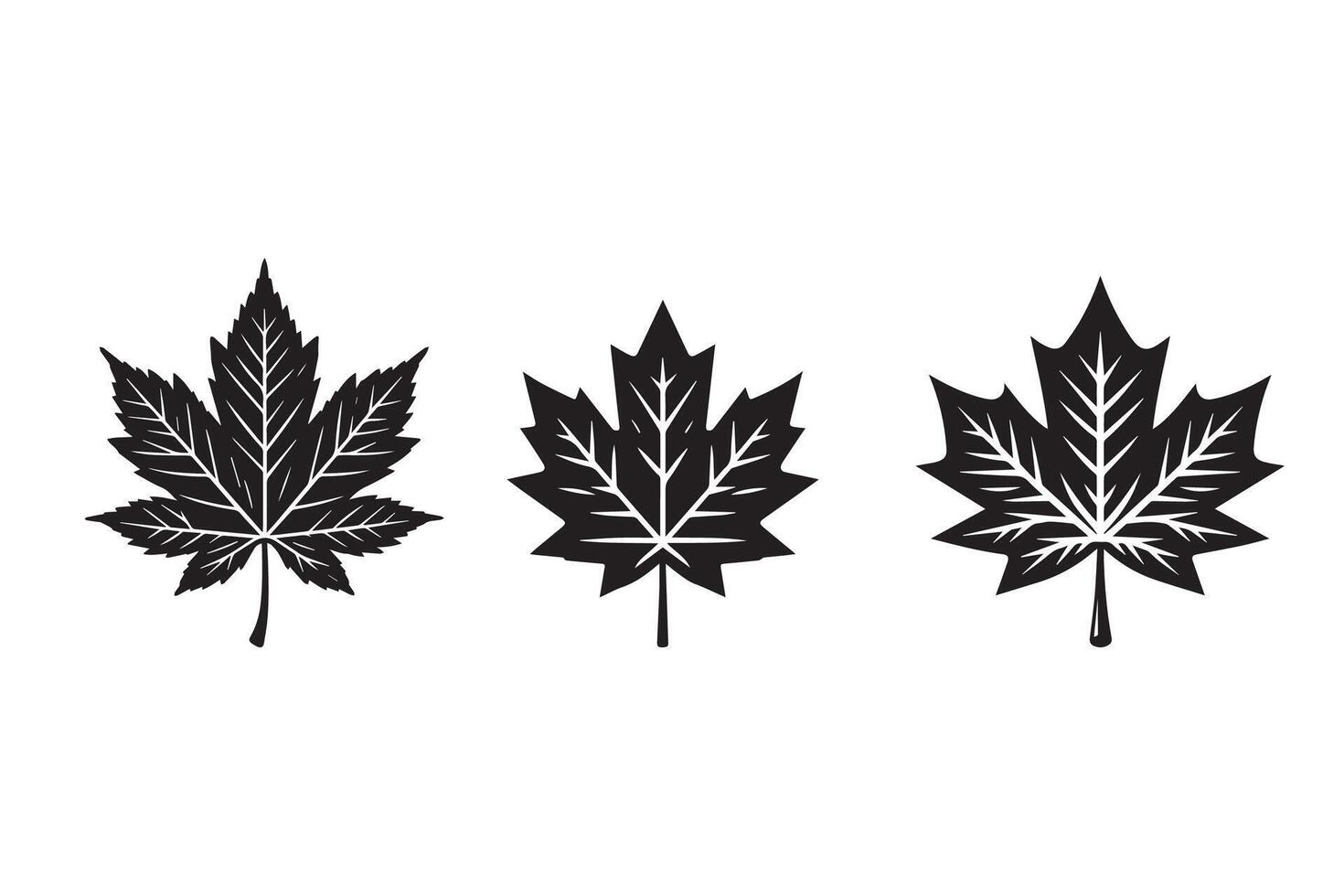 Maple Leaf Silhouette Illustration artwork design symbol vector