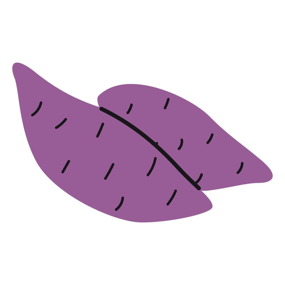 Hand drawn sweet potato, yam. Healthy vegetable with purple skin. Organic dieting food vector