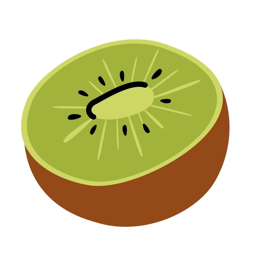 Hand drawn kiwi fruit. Half of kiwi fruit in simple doodle flat style. Organic nutrition food vector