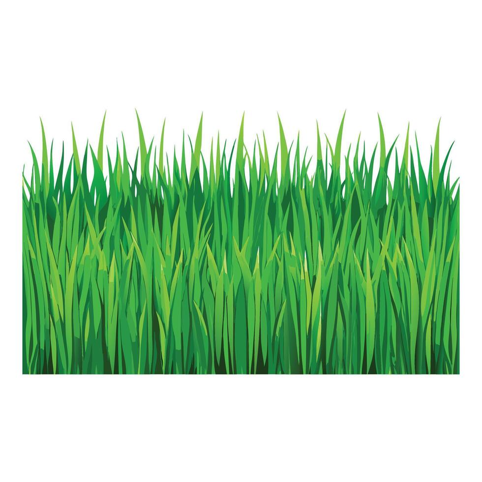 green grass background illustration vector