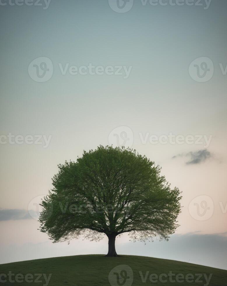 Lush Green Tree on a Hill Representing Climate Change Impact photo