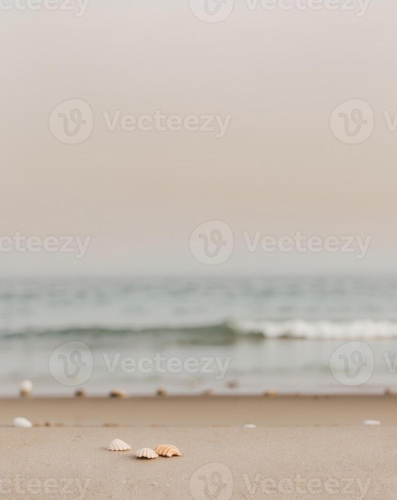 Serene Beach Scene with Soft Gradient Tones photo
