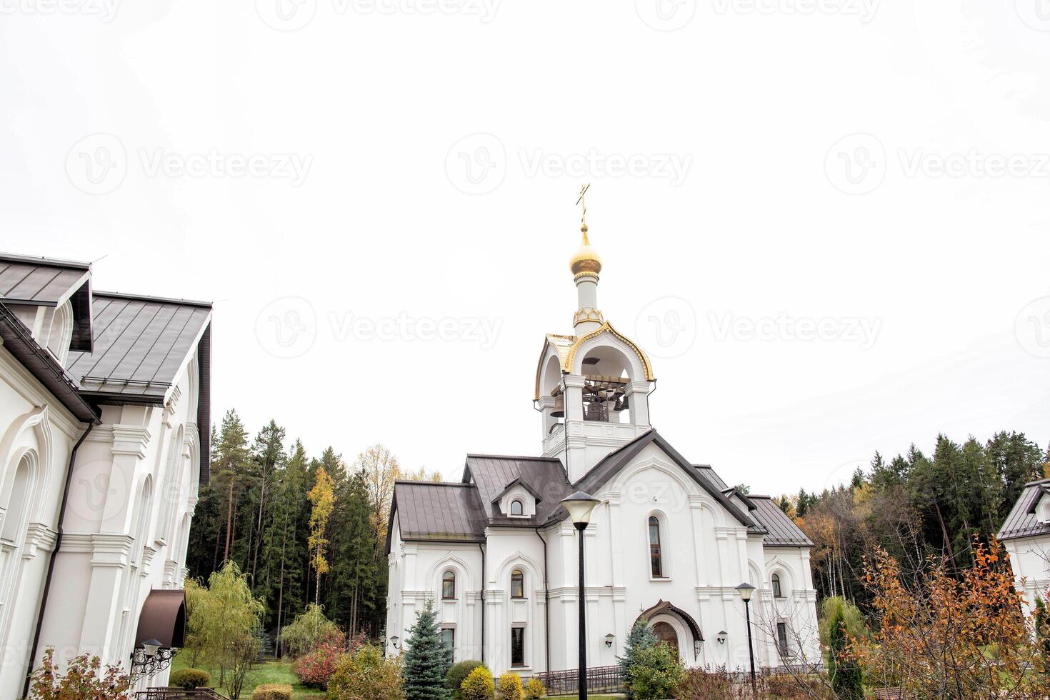 Beautiful church with a golden dome and bells against the sky, architectural, copy space, historic photo